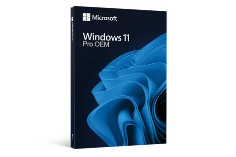 Windows 11 Pro OEM