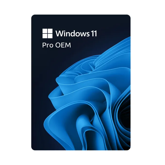Windows 11 Pro OEM