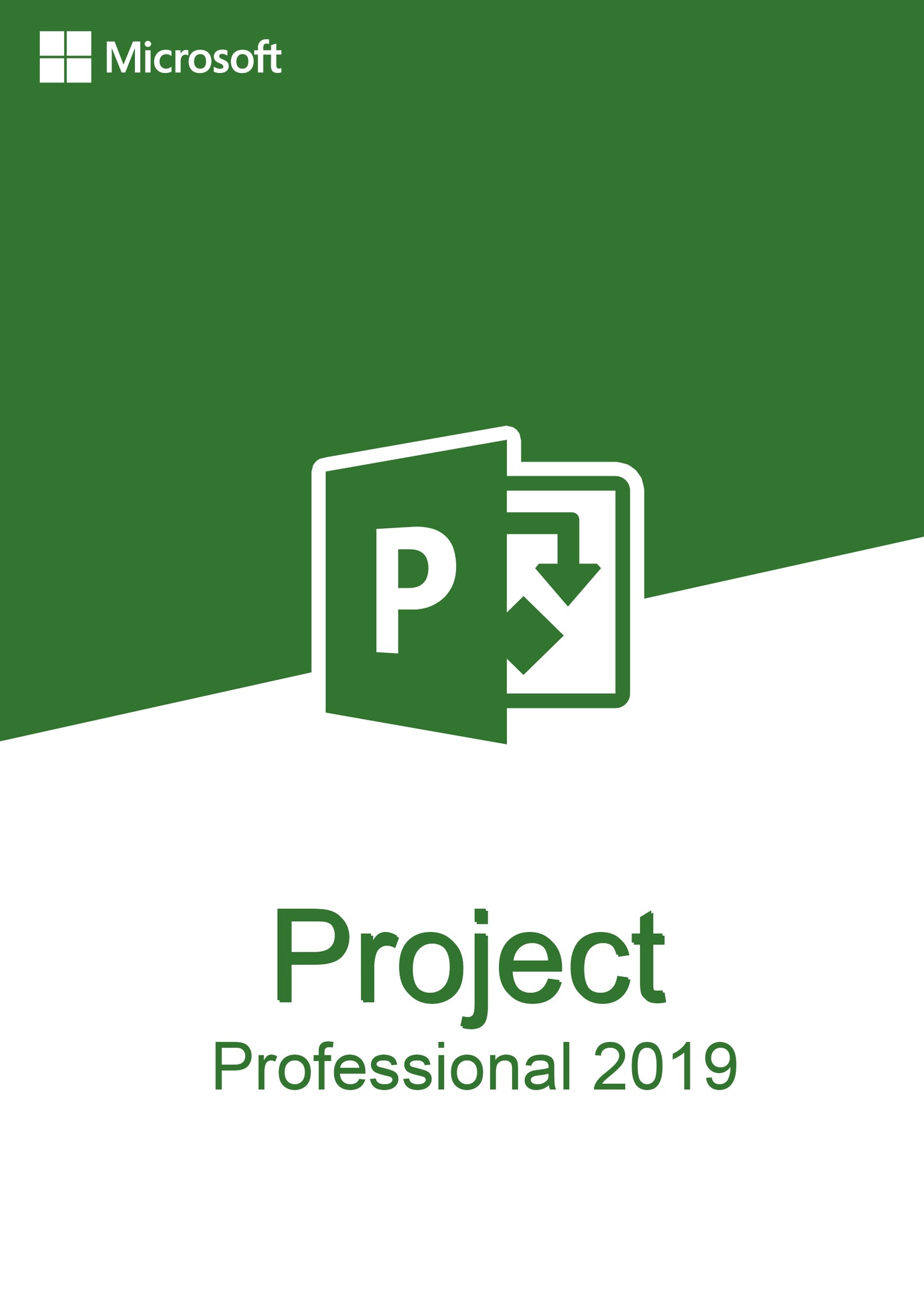 Project Pro 2019